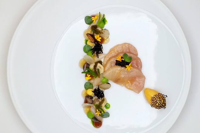 «Japanisches Meer»- Vorspeise mit Makrele, verschiedene Muscheln und Algen