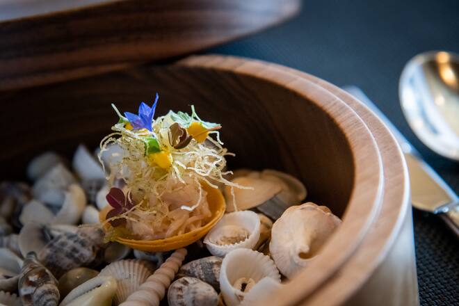 Rolf Fliegauf 2019: Taschenkrebstarte