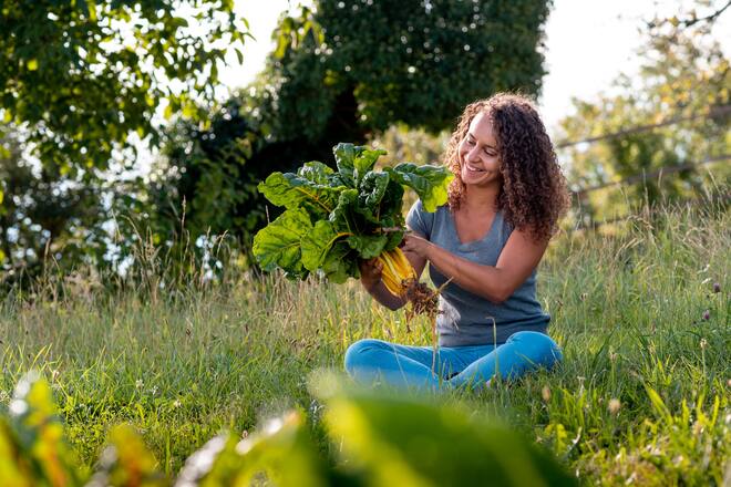 Mangold - Die vegane Köchin Zizi bestellt ihr Gemüse bei Sarah Heiligtag von Hof Narr, ein «Gnadenhof» für Tiere. Der Verein rettet Tiere und hilft anderen Bauern umzusatteln. Daneben wird Gemüse biologisch angebaut. - 24. August 2020 - Copyright Olivia Pulver