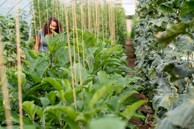 Die vegane Köchin Zizi bestellt ihr Gemüse bei Sarah Heiligtag von Hof Narr, ein «Gnadenhof» für Tiere. Der Verein rettet Tiere und hilft anderen Bauern umzusatteln. Daneben wird Gemüse biologisch angebaut. - 24. August 2020 - Copyright Olivia Pulver