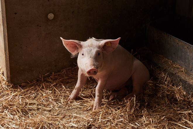 Toni Odermatt Geissäheimat Stans