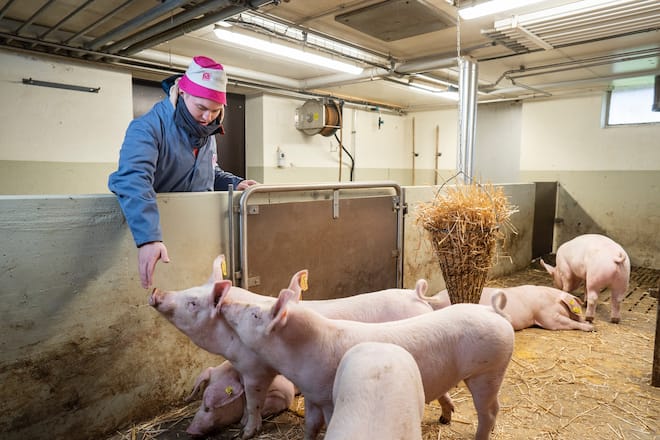 Simon Grimbichler bei der Suisag für Schweizer Fleisch
