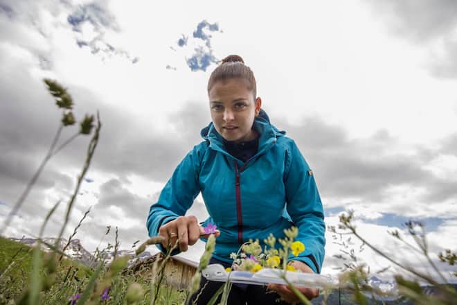 Chefs on Fire Züneweid Juli 2021 Svenja Kellenberger sucht Wiesenblumen