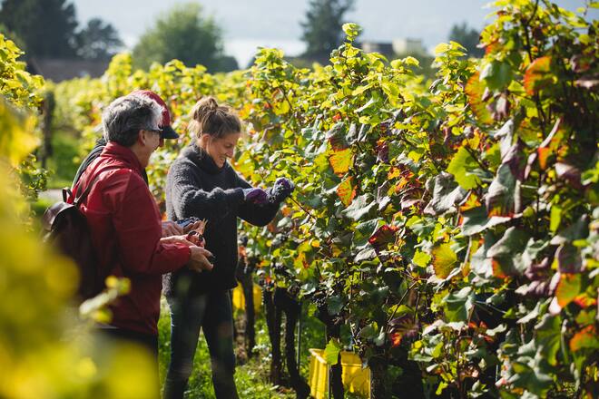 Am Puls der Ernte Grillette Neuenburg Oktober 2021