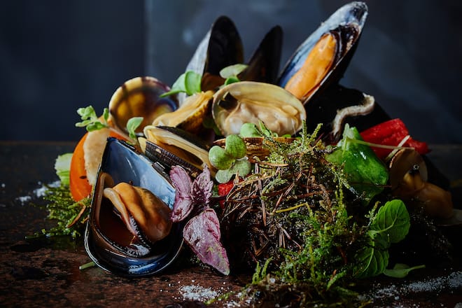 Rezept Feuerring Kochbuch Muscheln