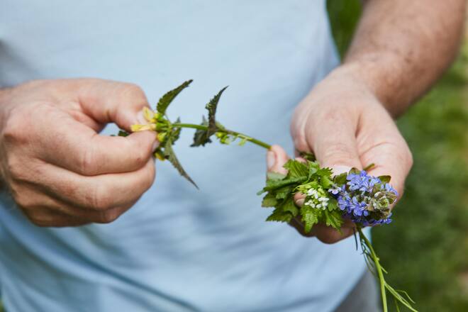 David Krüger Opera Ambassador Kräuterwanderung