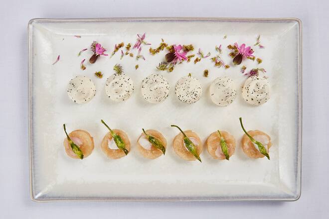 David Krüger Opera Ambassador Kräuterwanderung