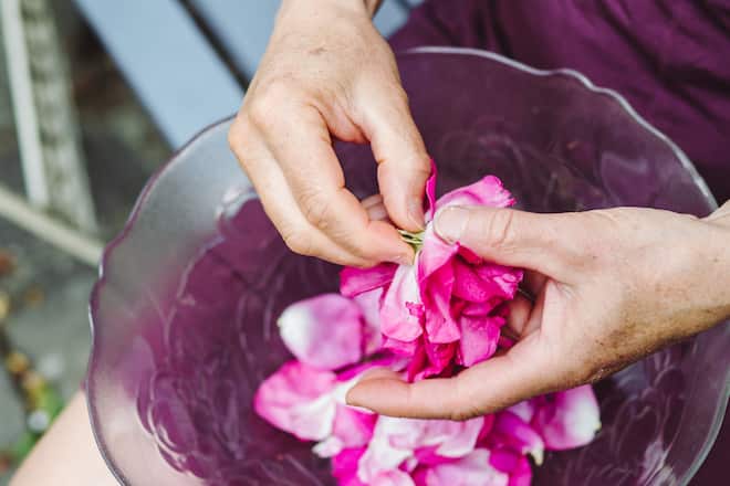 Lilo Meier Rosen Zürich