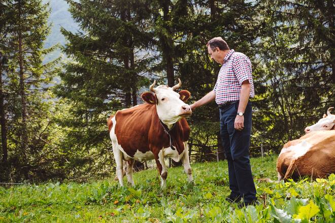 Alpkäse mit Richard Stoeckli Alpenblick Wilderswil