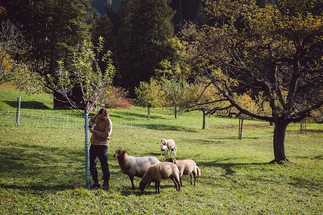 Biohof Dusch Georg Blunier Paspels
