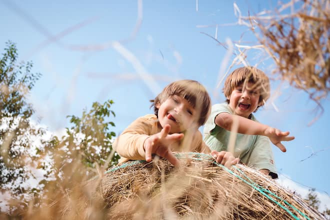Biohof Dusch Gregor Blunier Paspels