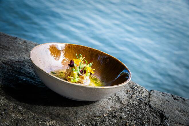 Dominik Sato kocht ein Swiss-Shrimp-Ceviche 2020