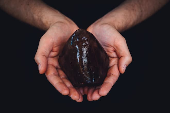 Frisches Balfego Thunaherz - Giardino Ascona - Restaurant Ecco - Chefkoch Rolf Fliegauf  - 19. Juni 2020 - Copyright Olivia Pulver