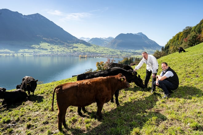 Buergenstock Produzenten, Mike Wehrle besucht Stefan Mathis - Holzenfleisch, Wagyu Beef Weide, oberhalb von Ennetbürgen
