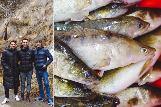 Alpen-Zander mit Marcel Skibba, Silvio Germann und Daniel Zeindlhofer