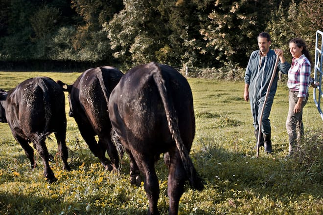 Bauernhof Zur chalte Hose, Claudia Wanger und Nils Müller Angus-Rinder auf der Hausweide, Nils Müller und Claudia Wanger.