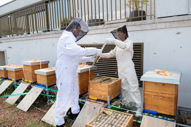 Bienen und Imkerin des Living Circle, Gault Millau, Imkerin Monika Istok, General Manager Jörg Arnold, Hotel Alex, Thalwil ZH, 20. Juni 2022