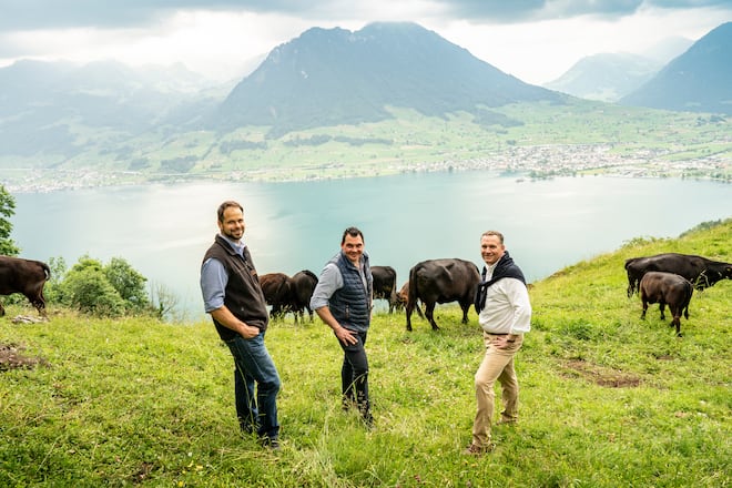 Header Holzen Fleisch fürs Bürgenstock Resort Angusrinder auf Weide in Ennetbürgen 2022