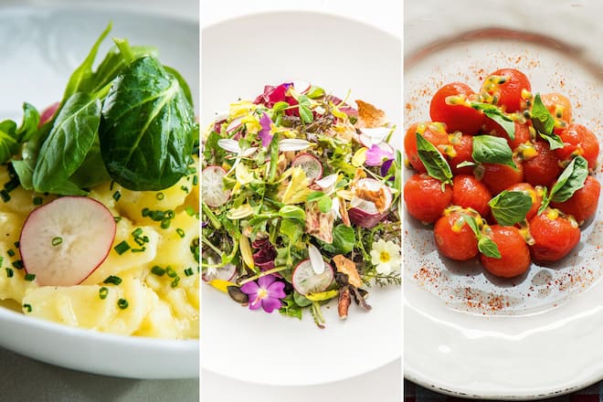 Header sieben Salate der Starchefs für den Sommer 2022