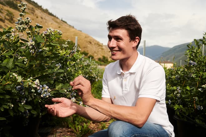 Himbeeren aus dem Wallis / Andreas Seiler