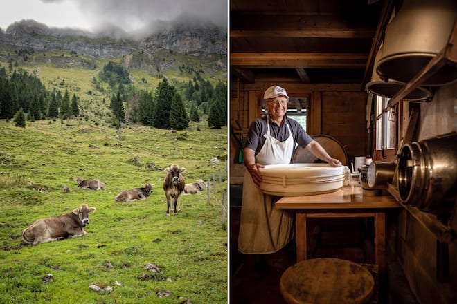 Sbrinz AOP Käserei von Peter Portmann 2022