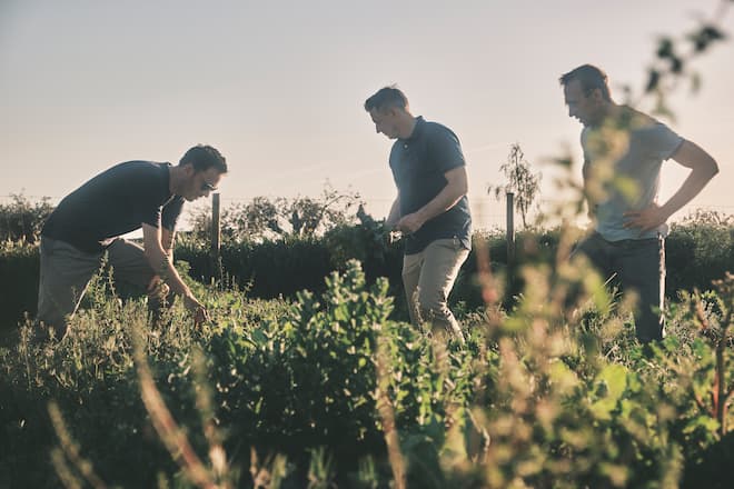 Arnold Adam Neubauer Terramay