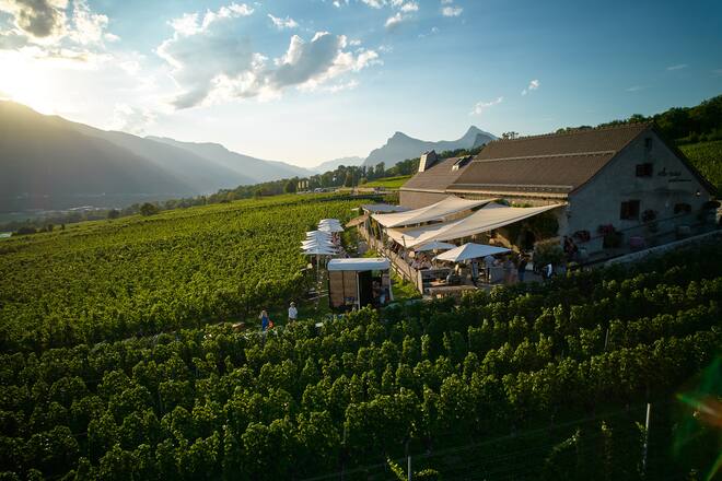 Alter Torkel Jenins, Huus vum Bündner Wii, GR