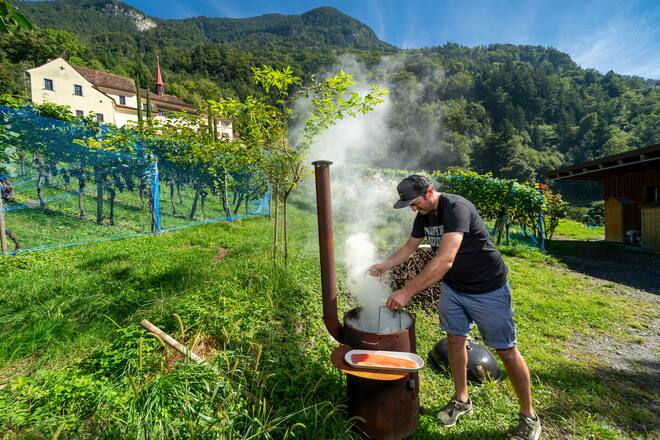 Manuel Tresch, Winzer zum Rosenberg in Altdorf 2023