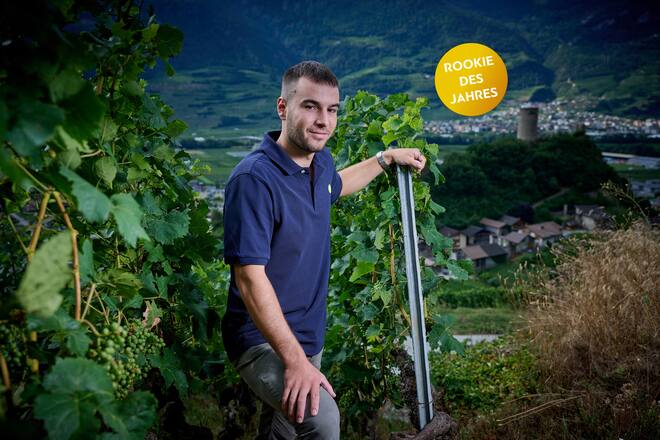 Saillon, le 25 juillet 2023, Clement Luisier Vigneron encaveur, © Sedrik Nemeth