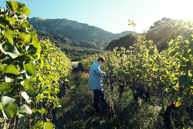 Marius Frehner Christof Ruof