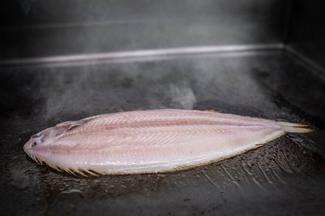 Zubereitung auf dem Kontaktgrill: die Seezunge auf der Plancha.