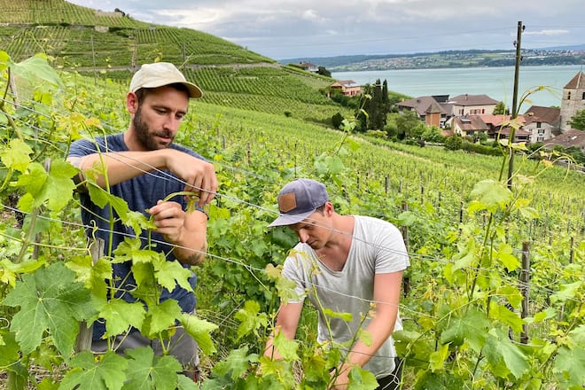 Bonnet du Fou, Twann, BE