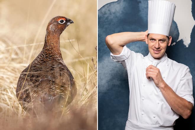 Bedrohtes Wild beim Koch des Jahres?