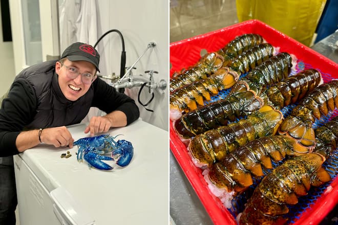 Bianchi auf den Spuren des kanadischen Hummers Luca Bianchi in Kanada bei den Hummern