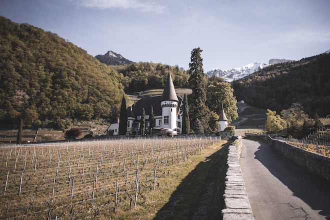 Domaine Maison Blanche Yvorne