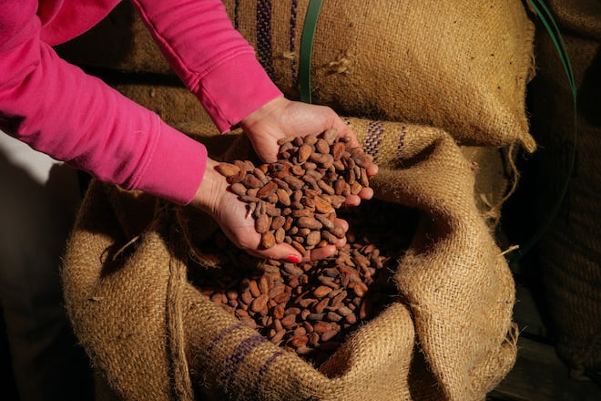 Garçoa Schokolade Zürich