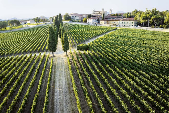 Bellavista Franciacorta