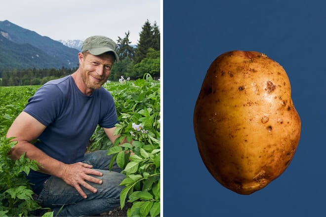 Bergkartoffeln Marcel Heinrich