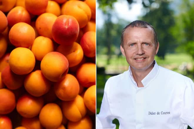 Didier de Courten Aprikosen