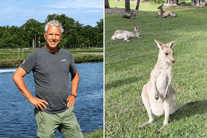 Martin Göschel und Kangoroo