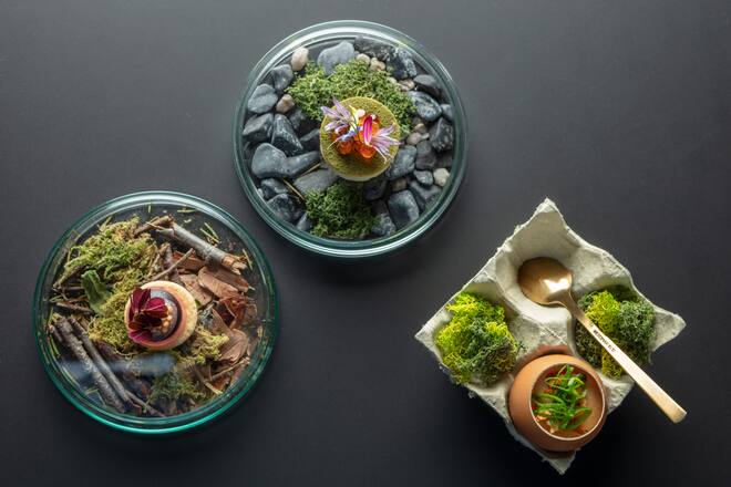 Snacks: Gebeizter Alpenlachs, Dill Creme, Tartelette, Röstgemüse Eistich, Röstzwiebel - Espuma, Kräuterseitling, Blut, Rhabarber, Sauerklee