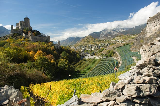 Rebberg zwischen der Burg Valère, links und Tourbillon