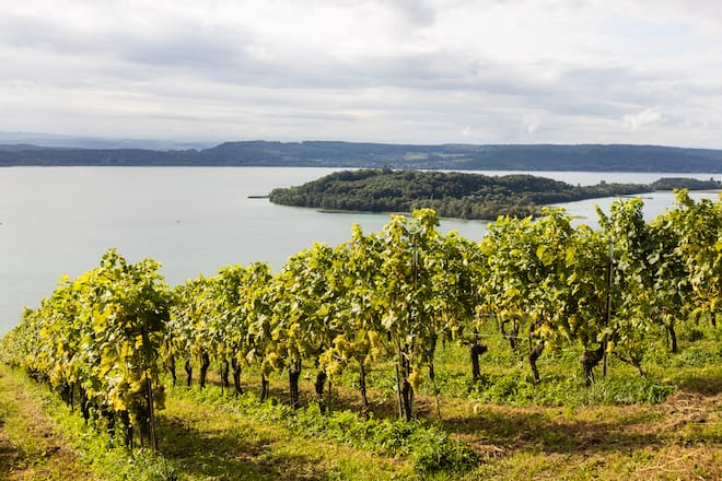 Unterwegs mit Journalistin Sabrina Glanzmann. Zu Besuch bei der Land Beiz "Aux Trois Amis" in Schernelz am Bielersee. Inhaber Duo Cynthia Lauper und Marc Joshua Engel servieren das Rezpt "Coq aux Chasselas"