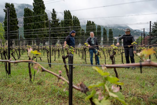Tenuta Masserone, Michele Conceoprio CEO und die beiden Winzer Zambello Valerio und Sergio Torre
