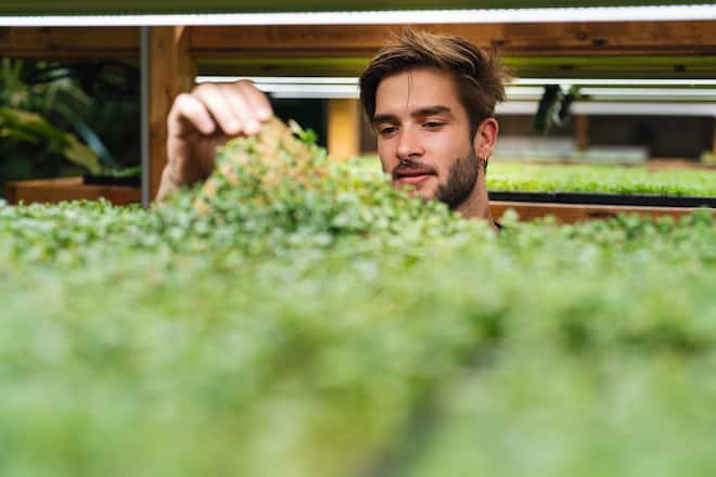 Oli Conde von Umami - Umami & Bianchi - Züri-Buntbarsche leben in der Kreislaufanlage von Umami, wo Microgreens produziert werden. - Copyright Olivia Pulver - 12. Mai 2022