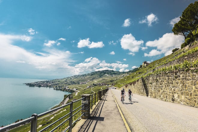 Lavaux Printemps 2018