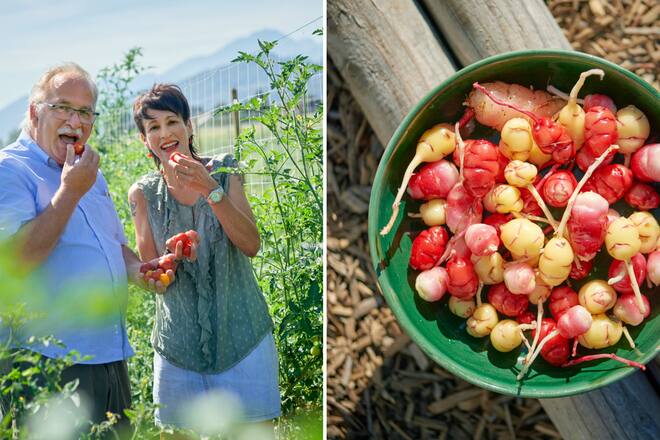 «Der essbare Garten»: Sabine Reber und Markus Kobelt, Oca-Knollen.