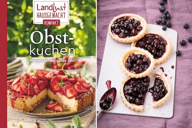 Obstkuchen! Rezepte für das ganze Jahr Obstkuchen.