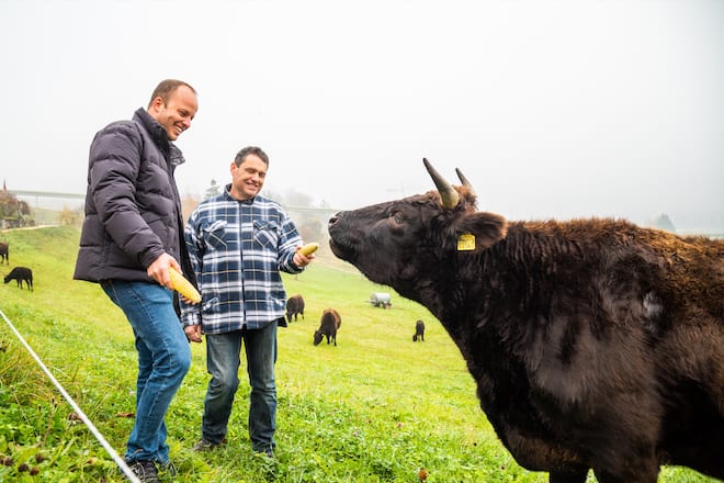 Bianchi Hansruedi Zimmermann mit seinen Wgyu-Rindern 2021