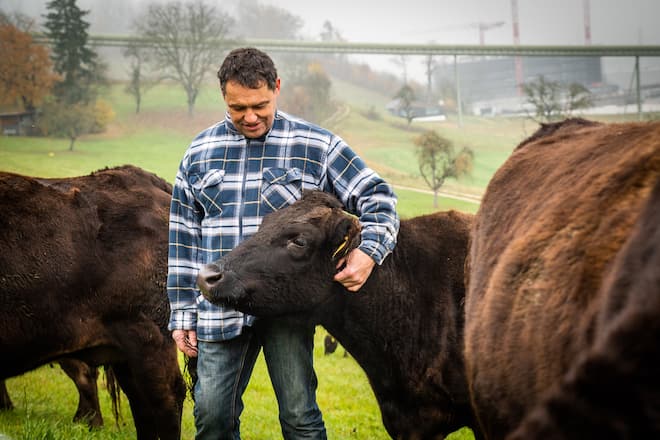 Hansruedi Zimmermann mit seinen Wgyu-Rindern 2021